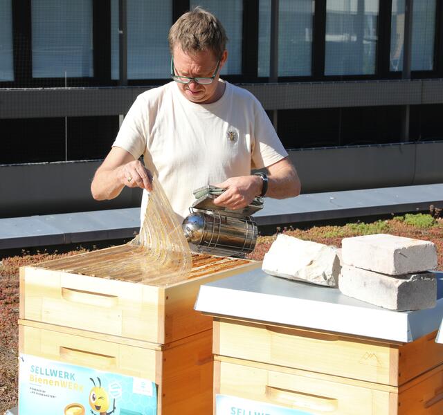 Imkerseminar mit ,,Bienenhüter" Marc Schüller bei den SELLWERK-Bienen.  | Foto: Nicole Fuchsbauer