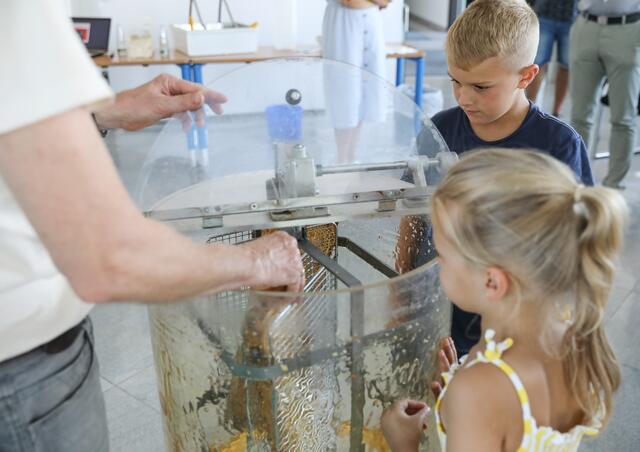 Imkerseminar mit ,,Bienenhüter" Marc Schüller bei den SELLWERK-Bienen.  | Foto: Nicole Fuchsbauer