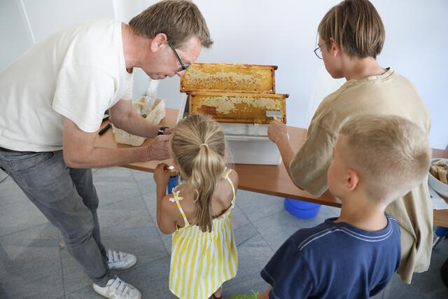 Imkerseminar mit ,,Bienenhüter" Marc Schüller bei den SELLWERK-Bienen.  | Foto: Nicole Fuchsbauer