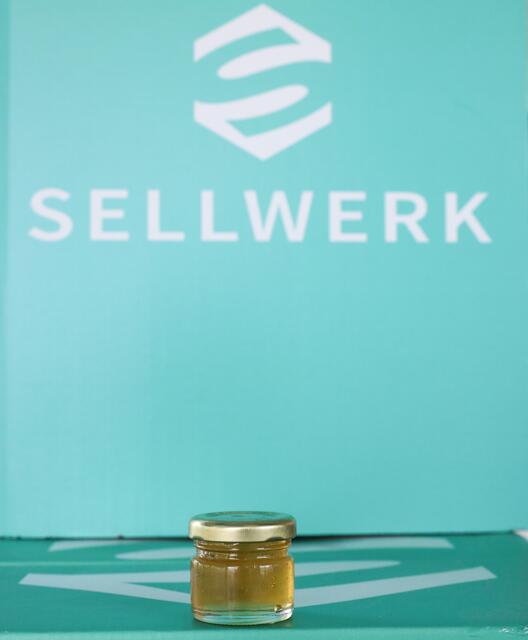 Imkerseminar mit ,,Bienenhüter" Marc Schüller bei den SELLWERK-Bienen.  | Foto: Nicole Fuchsbauer