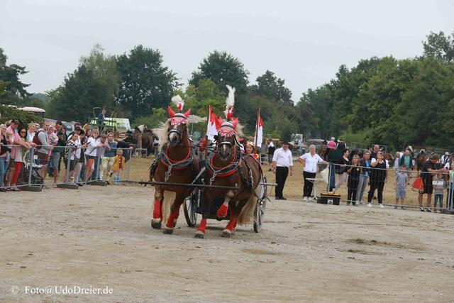 Foto: Udo Dreier