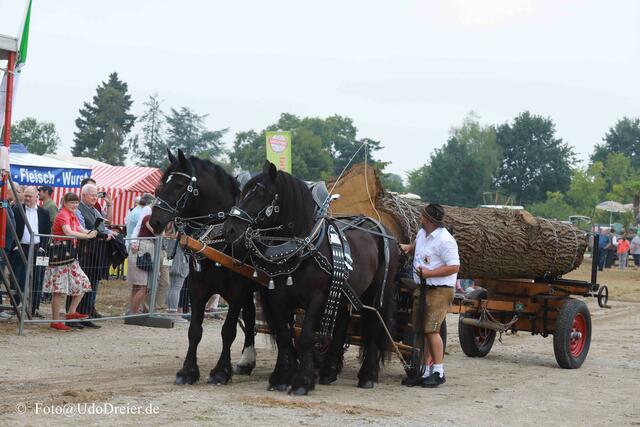 Foto: Udo Dreier