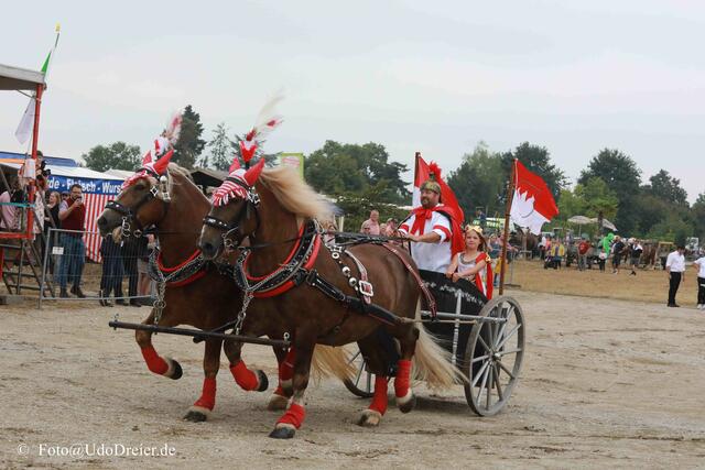 Foto: Udo Dreier