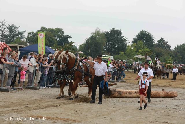 Foto: Udo Dreier