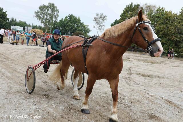 Foto: Udo Dreier
