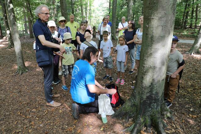 Der Rotary Club Erlangen-Ohm lud Kinder und Jugendliche aus der Ukraine an deren Unabhängigkeitstag zum Ferienspaß ins Walderlebniszentrum Tennenlohe. | Foto: Udo Dreier