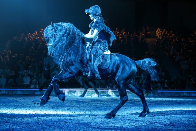 Equipe Filipe Fernandes als dunkles Volk. | Foto: © Cavalluna