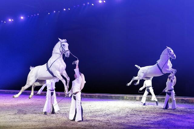 Doppel-Kapriole der Equipe Luís Valença. | Foto: © Cavalluna