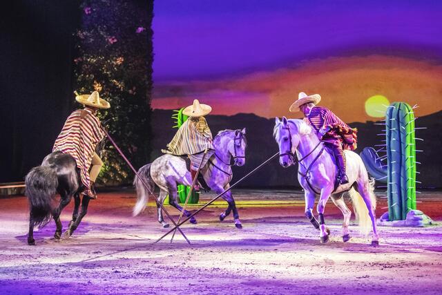 Quadrille der Equipe Sebastián Fernández. | Foto: © Cavalluna