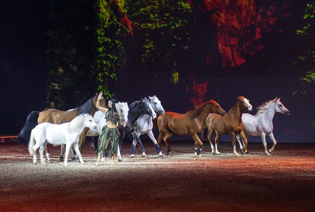 Große Freiheit von Sylvie Willms. | Foto: © Cavalluna