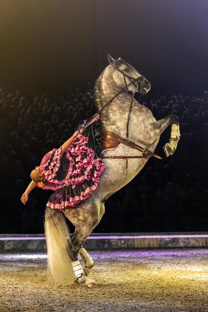 Courbette Renversée der Equipe Laury Tisseur. | Foto: © Cavalluna