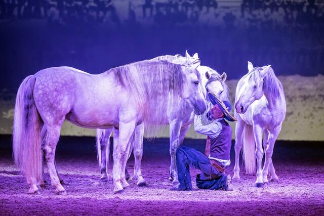 Freiheitskünstler Alex Giona. | Foto: © Cavalluna