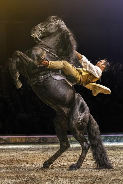 Laufpesade von Ivan Moreno. | Foto: © Cavalluna