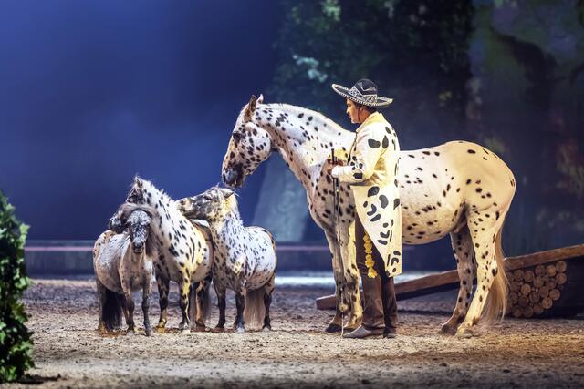 Pony-Freiheit von Bartolo Messina. | Foto: © Cavalluna