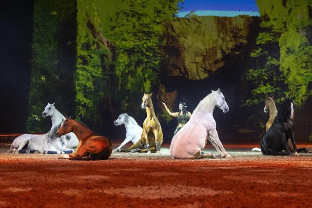 Freiheitsdressur von Sylvie Willms. | Foto: © Cavalluna