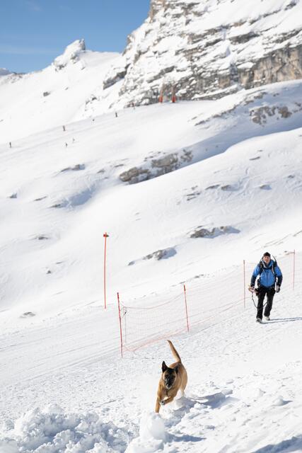 nnen- und Sportminister Joachim Herrmann nimmt gemeinsam mit Ministerpräsident Markus Söder am Pressetermin des Bayerischen Kuratoriums für alpine Sicherheit teil. Das Kuratorium informiert, unter dem Vorsitz des Landtagsabgeordneten Klaus Stöttner, über die Gefahren beim Wintersport in den Bergen und gibt Tipps über die Vermeidung von Unfällen. | Foto: Sebastian Widmann