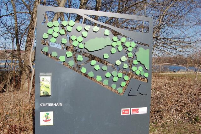 Stifterhain am Wöhrder See.  | Foto: oh/Christian Vogel