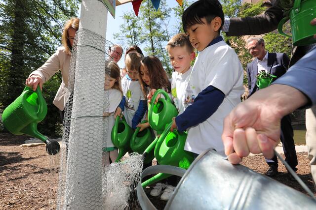 Foto: Jürgen Friedrich; Kita- und Grundschulkinder haben eine Baumpatenschaft gewonnen.