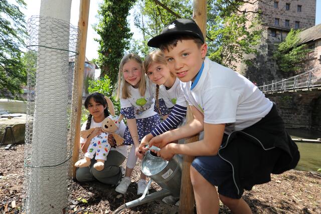 Foto: Jürgen Friedrich; Kita- und Grundschulkinder haben eine Baumpatenschaft gewonnen.