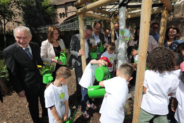 Foto: Jürgen Friedrich; Kita- und Grundschulkinder haben eine Baumpatenschaft gewonnen.