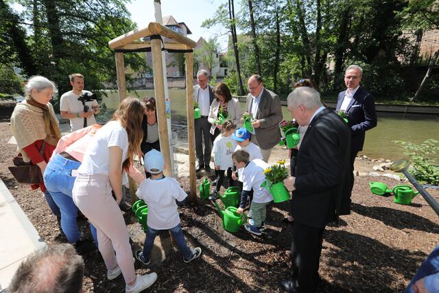 Foto: Jürgen Friedrich; Kita- und Grundschulkinder haben eine Baumpatenschaft gewonnen.