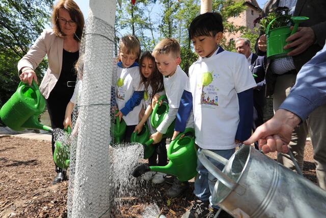 Foto: Jürgen Friedrich; Kita- und Grundschulkinder haben eine Baumpatenschaft gewonnen.