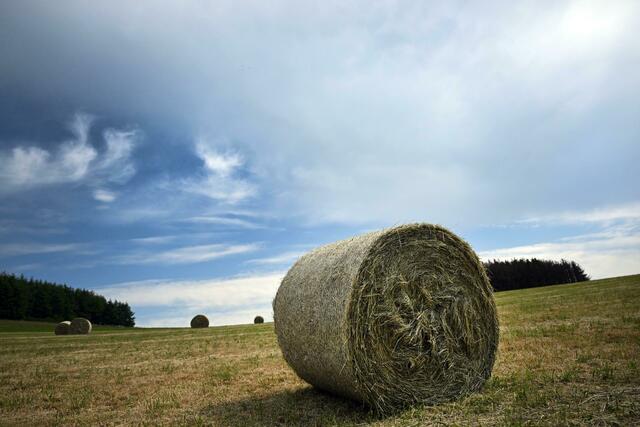 In den nächsten Tagen liegen die Höchstwerte zwischen 23 und 26 Grad, in Hochlagen bei 20 Grad. | Foto: Federico Gambarini/dpa