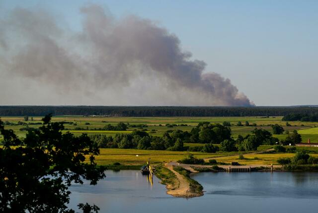 Das Feuer bei Lübtheen vom niedersächsischen Hitzacker aus gesehen.  | Foto: Philipp Schulze/dpa