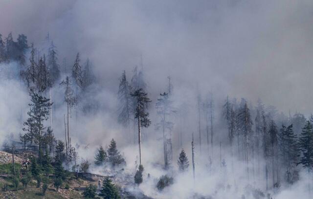 Waldbrand auf dem Altkönig bei Kronberg in Hessen.  | Foto: Boris Roessler/dpa