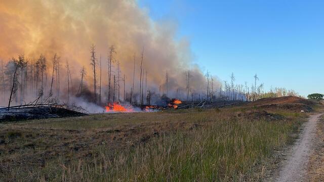 Flammen lodern in einem Waldgebiet auf dem ehemaligen Truppenübungsplatz im mecklenburgischen Lübtheen.  | Foto: Thomas Schulz/dpa