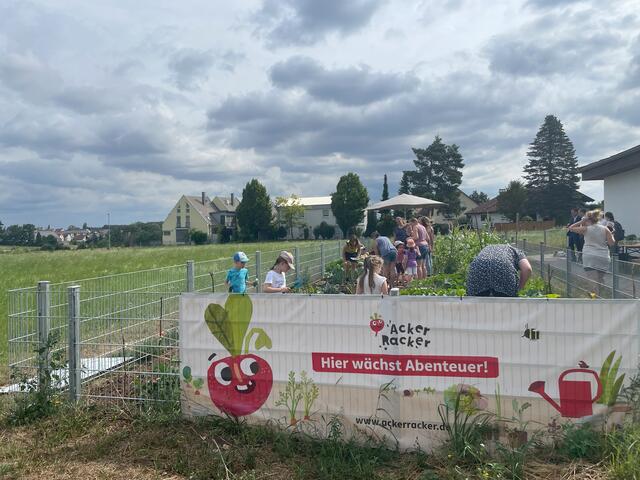 Kinder auf dem Acker des Kindergarten Regenbogen. | Foto: Acker e.V.