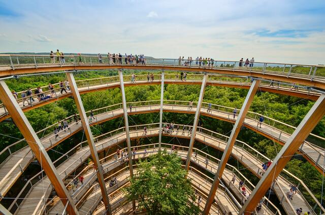 Spektakulär: Baumwipfelpfad bei Ebrach.  | Foto: Nicole Fuchsbauer