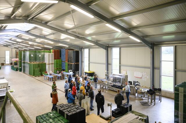 Peter Höfler führt durch seinen modernen Gemüsebaubetrieb: Er zeigt die Gewächshaus- und Freilandproduktion sowie seine Maßnahmen zu Biodiversität und Freiflächengestaltung. | Foto: Uwe Niklas / Stadt Nürnberg