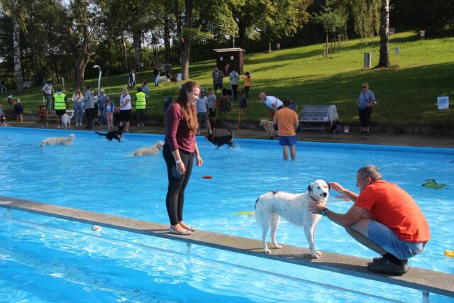 Weil das Wasser nicht mehr gereinigt wird, ist das Baden am 16. September ausdrücklich den Hunden vorbehalten. | Foto: Marktgemeinde Thalmässing
