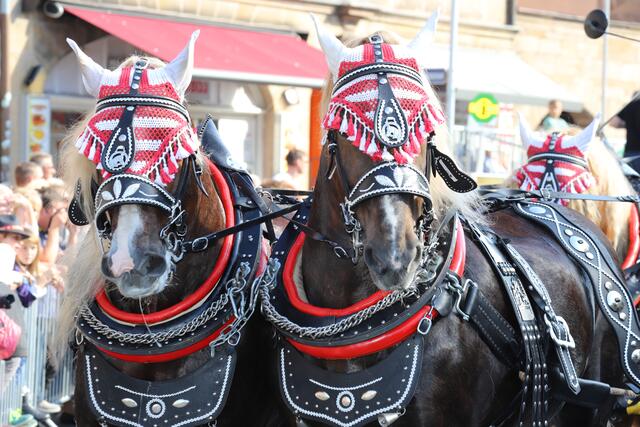 Der Festzug mit den Erntedank-Gaben ist das Highlight der Michaeliskirchweih. | Foto: Mittelsdorf