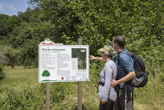 Pfad der Achtsamkeit, Stadtprozelten | Spessart-Mainland.


 | Foto: © Holger Leue
