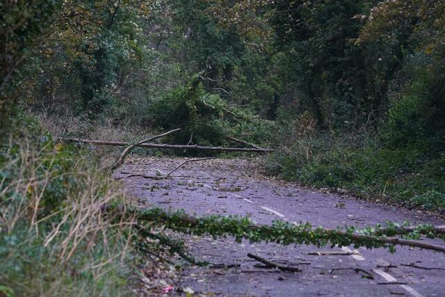 Umgestürzte Bäume und abgebrochene Äste blockieren eine Straße in Dover, Kent.  | Foto: Gareth Fuller/PA Wire/dpa