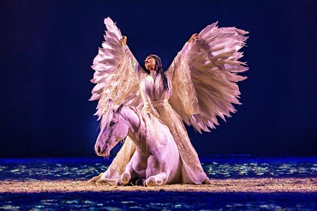Sylvie Willms in traumhafter Freiheitsdressur.  | Foto: CAVALLUNA