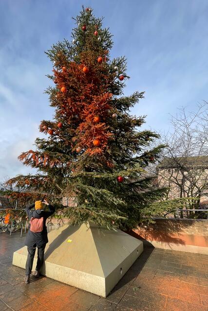 Selbst ernannte "Klimaaktivisten" haben den großen Weihnachtsbaum der Stadt Nürnberg am Bahnhofsvorplatz mit Farbe attackiert. Der Baum soll wie geplant bis circa Mitte Januar stehen bleiben. | Foto: André Winkel / Stadt Nürnberg