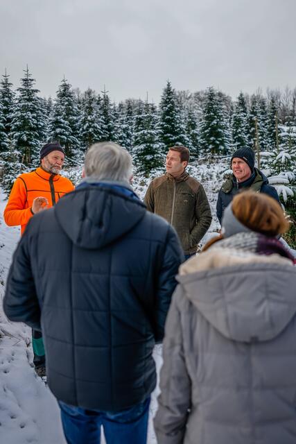 Raymund Filmer führt Landrat Matthias Dießl und Bürgermeister Thomas Zehmeister durch die Christbaumkultur. Foto: Landratsamt Fürth