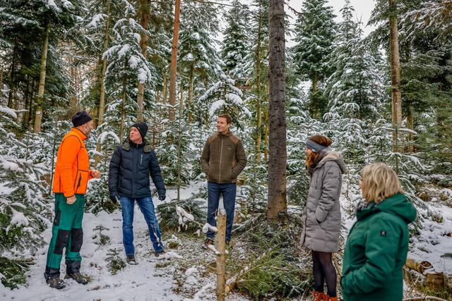 Raymund Filmer führt Landrat Matthias Dießl und Bürgermeister Thomas Zehmeister durch die Christbaumkultur. Foto: Landratsamt Fürth