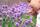 Fast alle Kinder haben Interesse an der Natur. Wer dieses ins Erwachsenenalter mitnehmen kann, hat eine gute Grundlage, den eigenen Garten als Lebensoase für Blumen und Tiere zu machen. | Foto: Den-stock.adobe.com (Symbolbild)