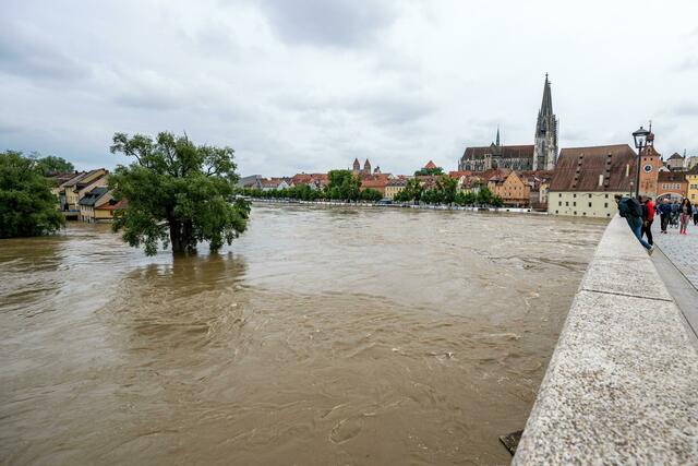 Die Donau führt an der Steinernen Brücke Hochwasser.  | Foto: Armin Weigel/dpa