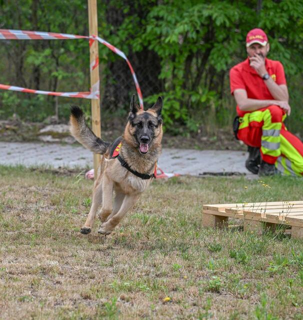 Sommerfest Tierheim Nürnberg.  | Foto: Tierschutzverein und Tierheim Nürnberg