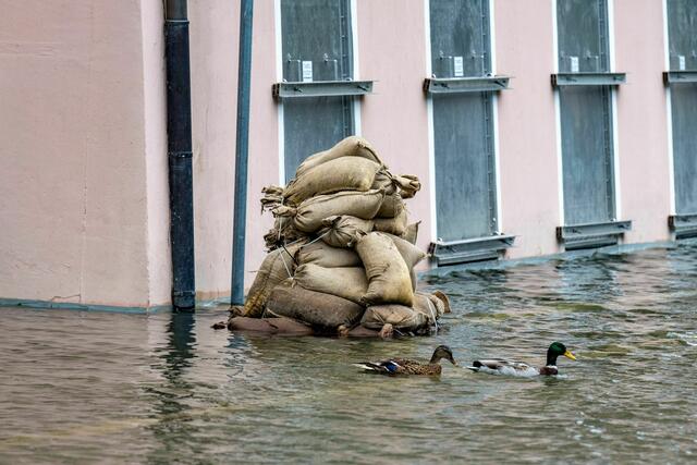Noch ist es ungewiss, wie sich die Hochwasserlage in Passau entwickeln wird. | Foto: Armin Weigel/dpa