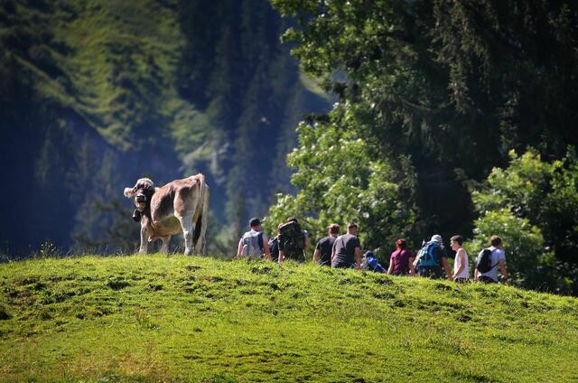 Jeder sechste Inlandstourist aus Deutschland reiste nach Bayern. | Foto: Karl-Josef Hildenbrand/dpa (Archivbild)
