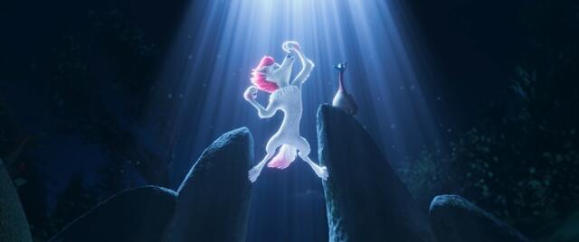 Foto: Ab 30. Oktober 2024 auf DVD und Blu-ray "200% Wolf". Copyright © Constantin Film