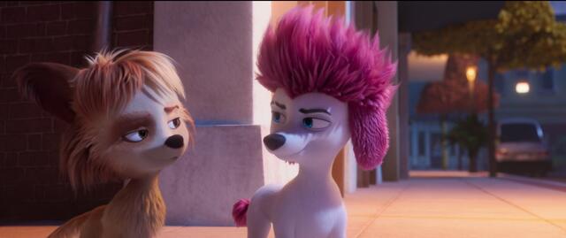 Foto: Ab 30. Oktober 2024 auf DVD und Blu-ray "200% Wolf". Copyright © Constantin Film