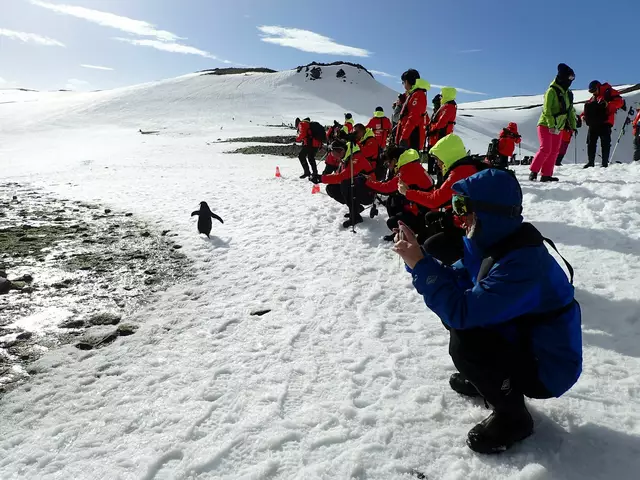 Pinguine zu beobachten, ist ein Highlight der meisten Landgänge. | Foto: Ricardo Roura/dpa (Symbolbild)