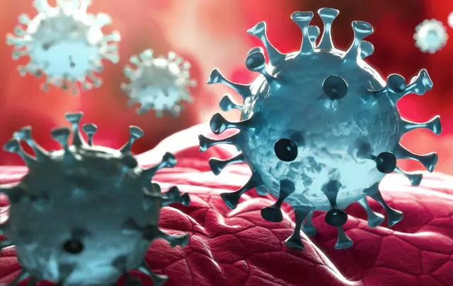 (Symbolbild) | Foto: © peterschreiber.media/AdobeStock